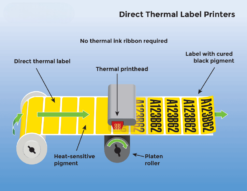 Direct Thermal Label Rolls DT