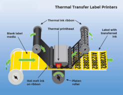 Thermal Transfer Label Rolls (Chromo TT)